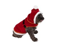 Lazy One Santa Hooded Dog Costume