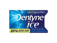 Dentyne Ice Sugar Free Peppermint Chewing Gum 16 pk