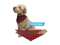 Lazy One Don't Wake the Bear Plaid Dog Bandana