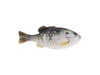 Berkley PBGL90-HDCRP PowerBait Gilly, Designed by Mike Iaconelli, Rig