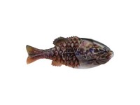 Berkley PBGL90-HDWAR PowerBait Gilly, Designed by Mike Iaconelli, Rig