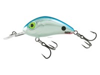 Salmo Rattlin' Hornet 3.5 Red Tail Shiner
