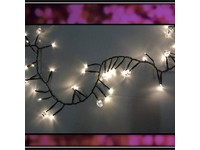 Celebrations Warm White 120 ct 9 ft. LED Skull Lights