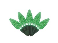 Celebrations Platinum LED C6 Green 50 ct String Christmas Lights 25 ft.