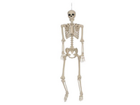 Seasons 5 ft. Skeleton Halloween Decor