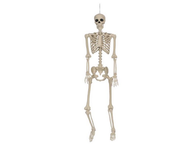 Seasons 5 ft. Skeleton Halloween Decor