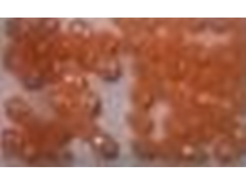 Fish Eye Tackle 5MM Bead Orange Pearl