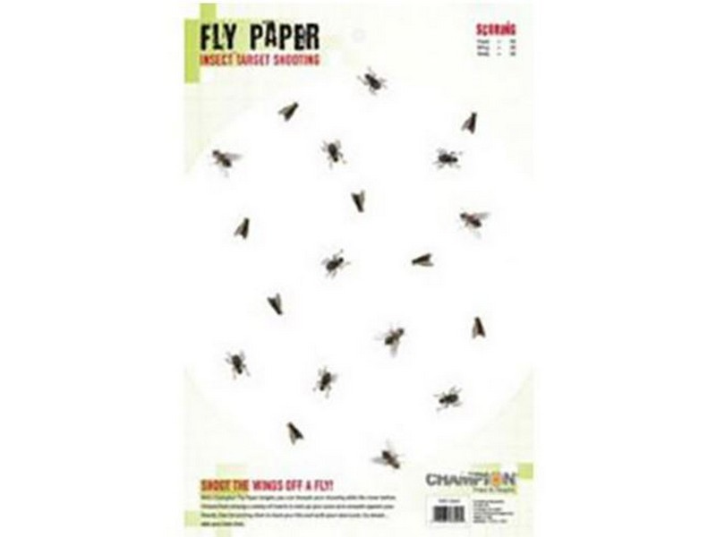 Champion Targer Paper Fly Paper