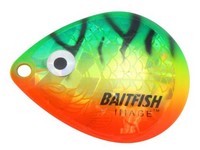 Colorado Blade #5 Firetiger