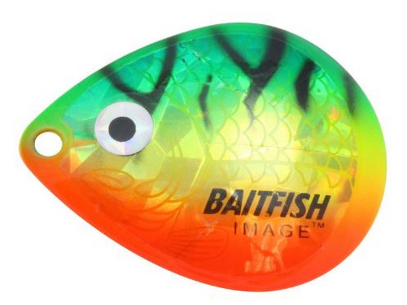 Colorado Blade #5 Firetiger