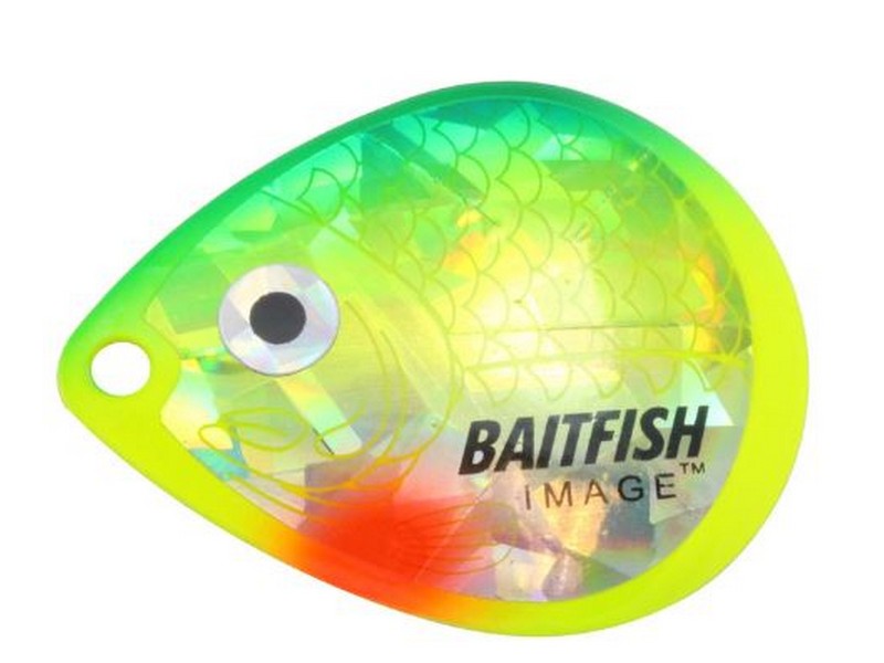 Colorado Blade #5 Sunfish