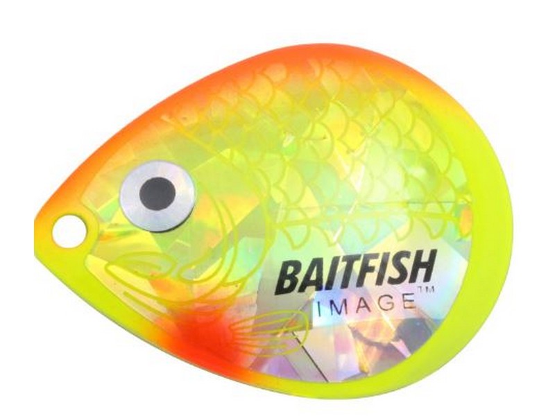 Colorado Blade #5 Sunrise