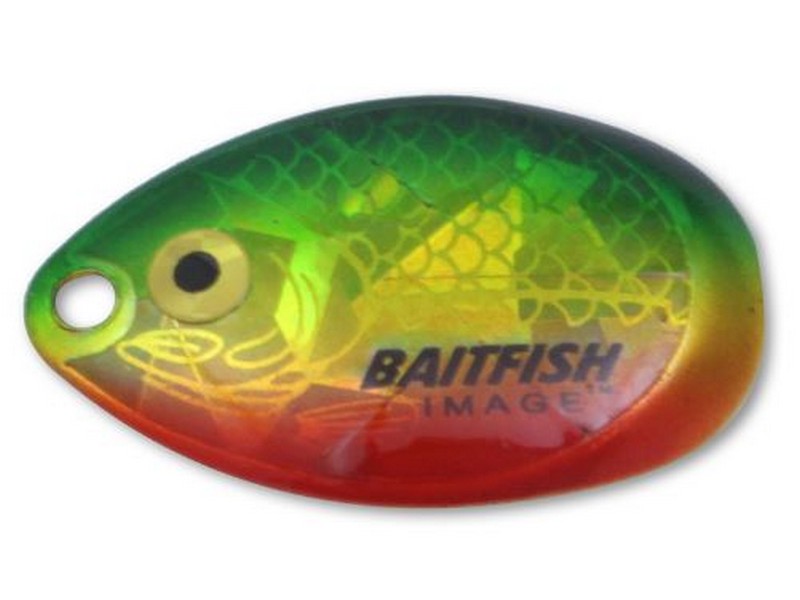 Indiana Blade #4 Gold Perch