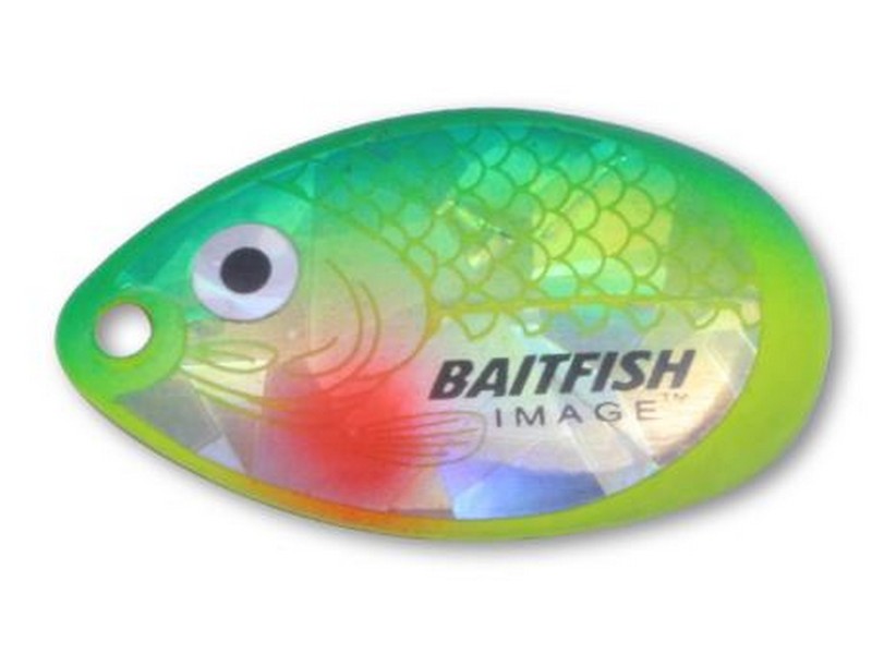 Indiana Blade #4 Sunfish