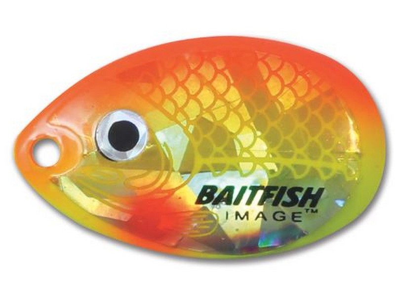 Indiana Blade #4 Sunrise