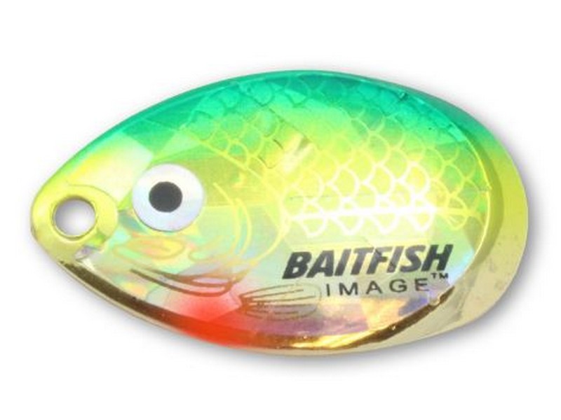 Indiana Blade #4 Yellow Perch