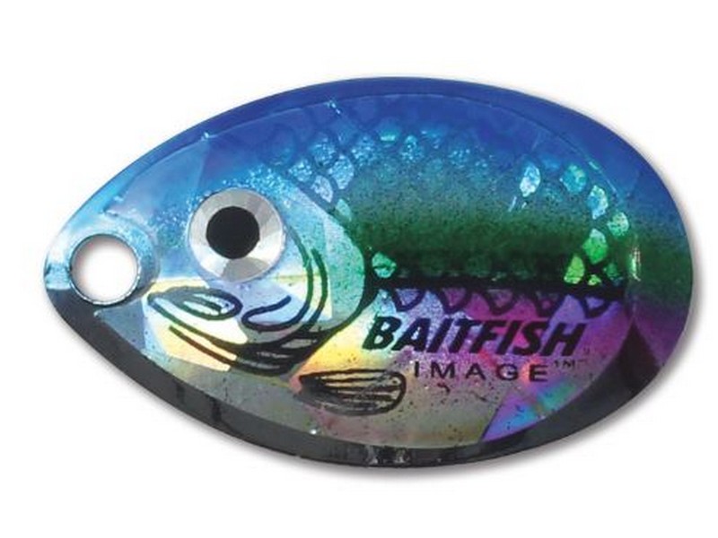 Indiana Blade #4 Rainbow