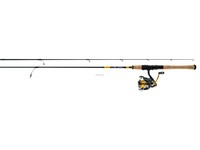 Daiwa Revros LT 6'6 Spinning Combo