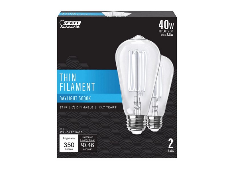 Feit Electric ST19 E26 (Medium) Filament LED Bulb Daylight 40 Watt