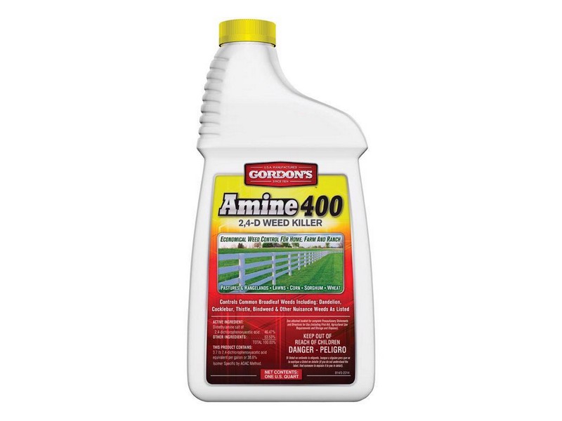 Gordon's Amine 400 Weed Killer Concentrate 1 qt