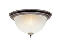 Westinghouse 14 in. L Ceiling Light