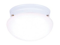 Westinghouse 4-3/8 in. H X 7-1/4 in. W X 7.25 in. L Ceiling Light