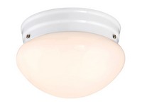 Westinghouse Polished Switch LED Light Fixture