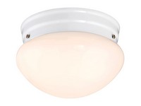 Westinghouse Polished Switch LED Light Fixture