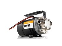 Wayne 1/8 HP 350 gph Chrome Plated Bronze Switchless Switch Bottom DC Transfer Pump