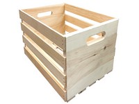 Demis Products 9.56 in. H X 12.5 in. W X 18 in. D Storage Box Natural