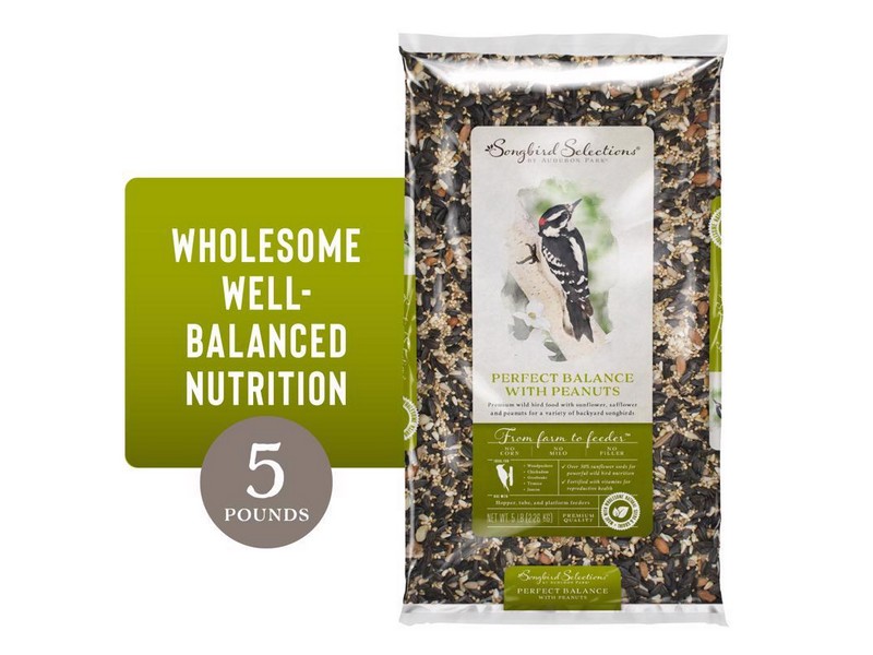 Songbird Selections Perfect Balance with Peanuts Wild Bird Sunflower Seeds and Peanuts Wild Bird Foo