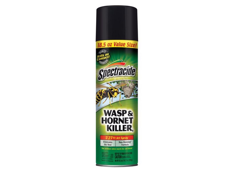 Spectracide Wasp and Hornet Killer Aerosol 18.5 oz