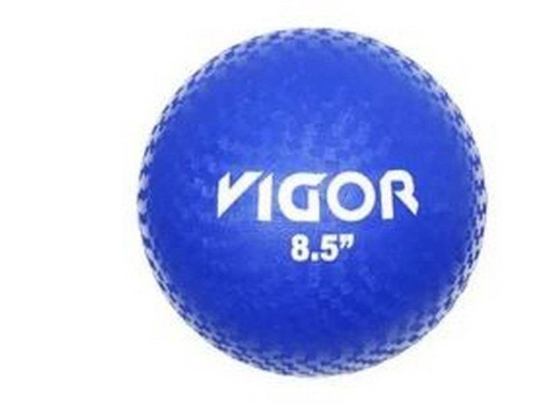 Vigor Blue Playground Ball 8.5