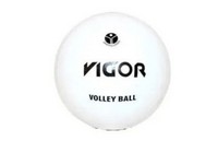 Vigor Volleyball #5