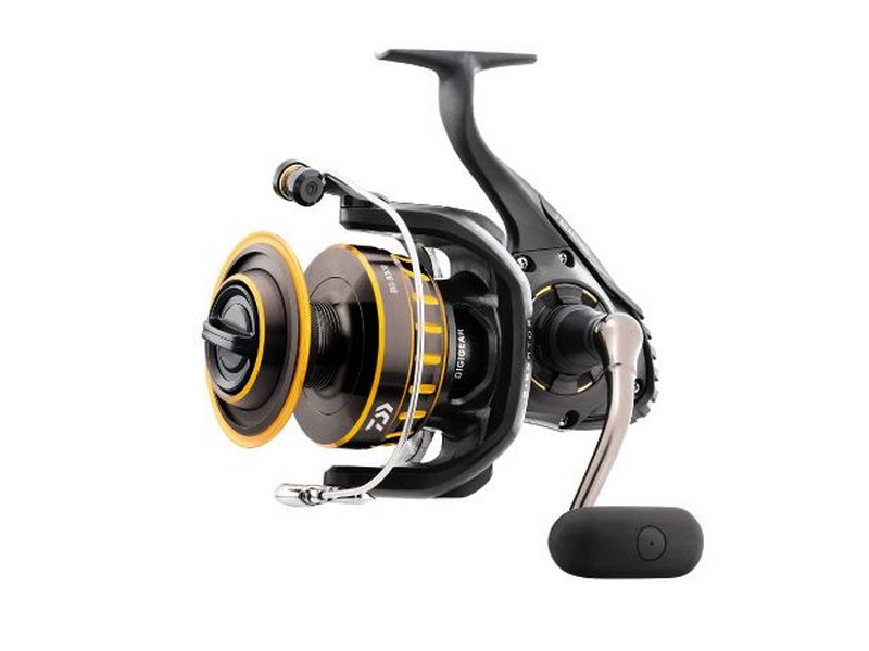 Diawa BG Spinning Reel Size 20