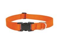 Lupine Pet Basic Solids Blaze Orange Blaze Orange Nylon Dog Adjustable Collar