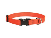 Lupine Pet Basic Solids Blaze Orange Blaze Orange Nylon Dog Adjustable Collar