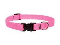 Lupine Pet Basic Solids Pink Pink Nylon Dog Adjustable Collar