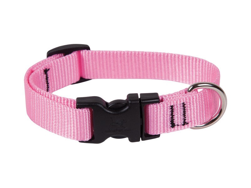 Lupine Pet Basic Solids Pink Pink Nylon Dog Adjustable Collar