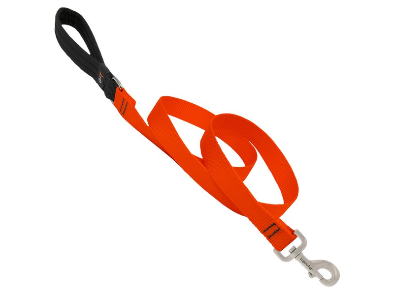 Lupine Pet Basic Solids Blaze Orange Blaze Orange Nylon Dog Leash