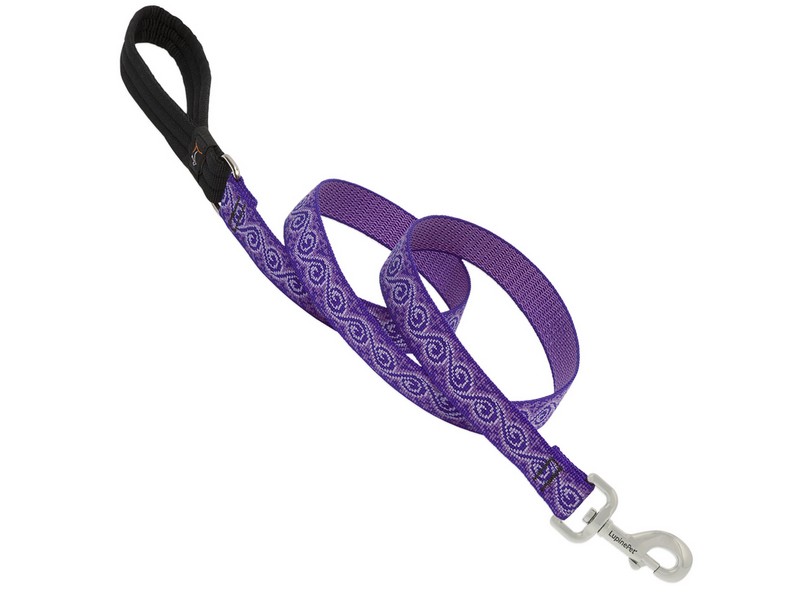 Lupine Pet Original Designs Multicolor Jelly Roll Nylon Dog Leash