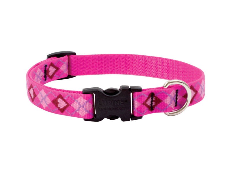 Lupine Pet Original Designs Multicolor Puppy Love Nylon Dog Adjustable Collar