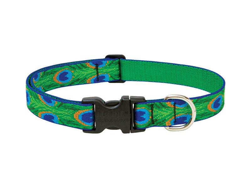 Lupine Pet Original Designs Multicolor Tail Feathers Nylon Dog Adjustable Collar