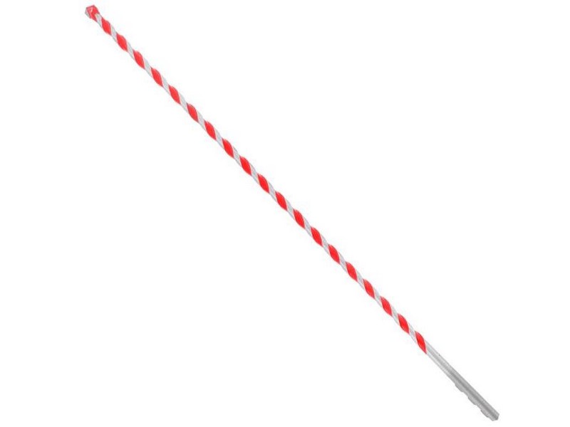 Diablo SPEEDemon 1/4 in. S X 12 in. L Carbide Tipped Red Granite Hammer Bit 1 pk