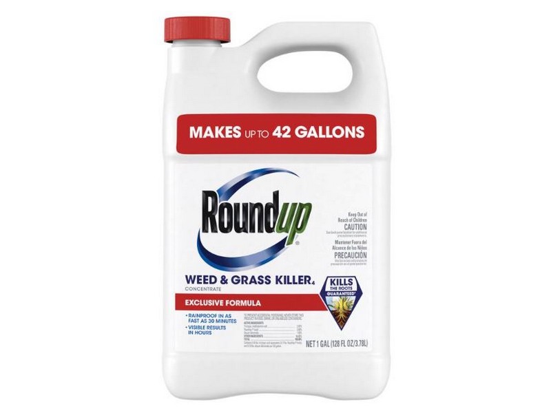 Roundup Weed and Grass Killer Concentrate 1 gal