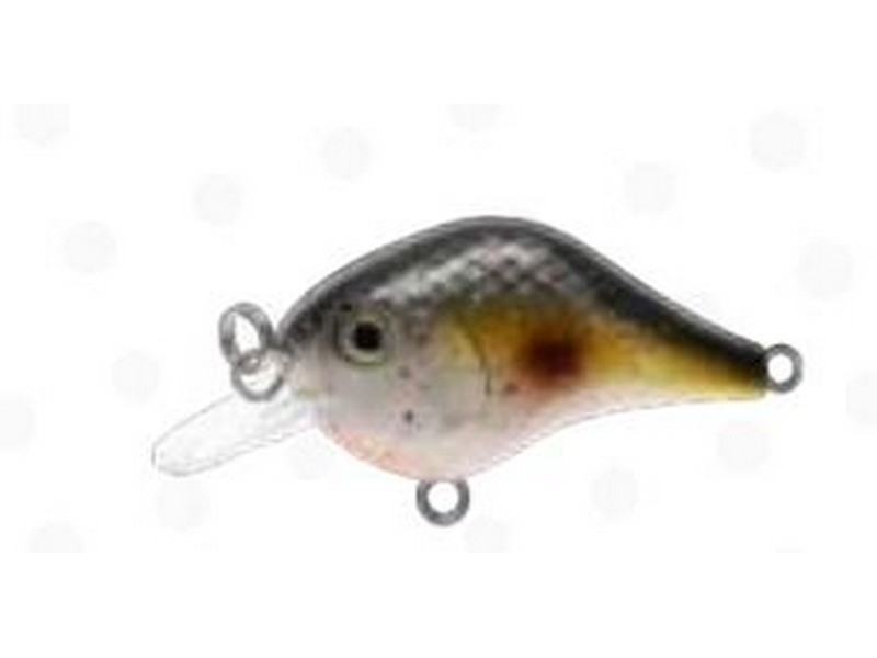 Bill Lewis Crank Gnat 1/8oz Sneaky Shad