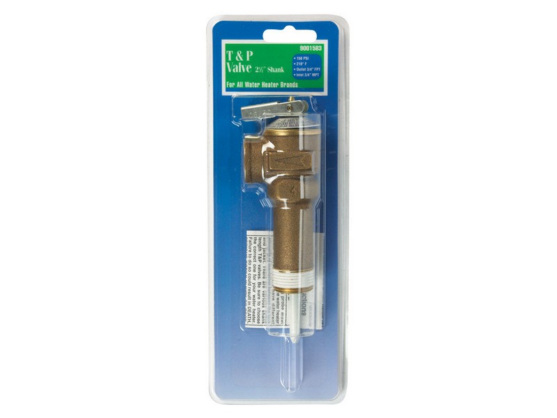 Reliance 2-1/2 in. MNPT Brass Relief Valve 1 pc