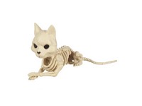 Seasons Skeleton Cat Halloween Decor