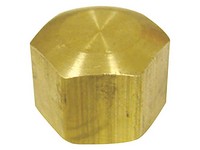 1/4 in. Compression Brass Cap