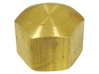 3/8 in. Compression Brass Cap